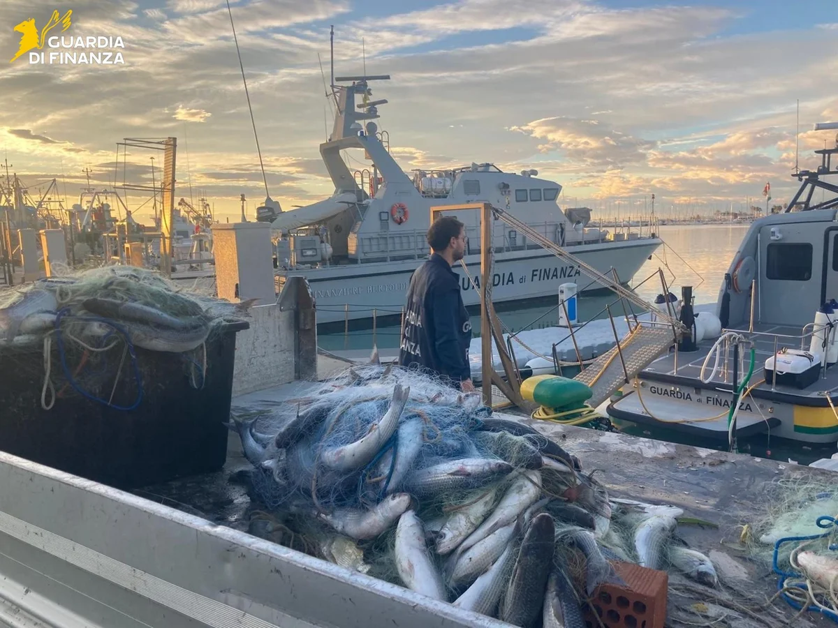 FOTO | Sequestrati 300 kg di prodotto ittico: sanzioni per 3 pescatori di frodo