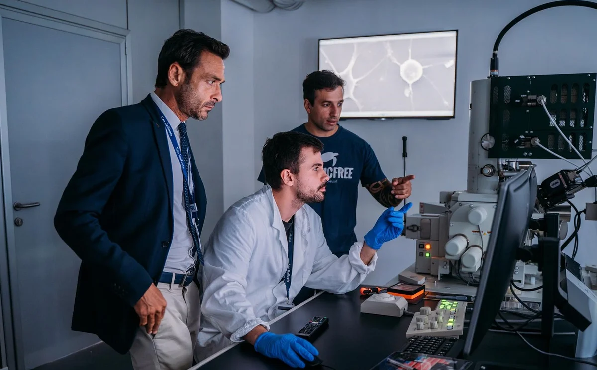 Gli effetti delle nanoplastiche nel cervello, Plastic Free lancia la ricerca