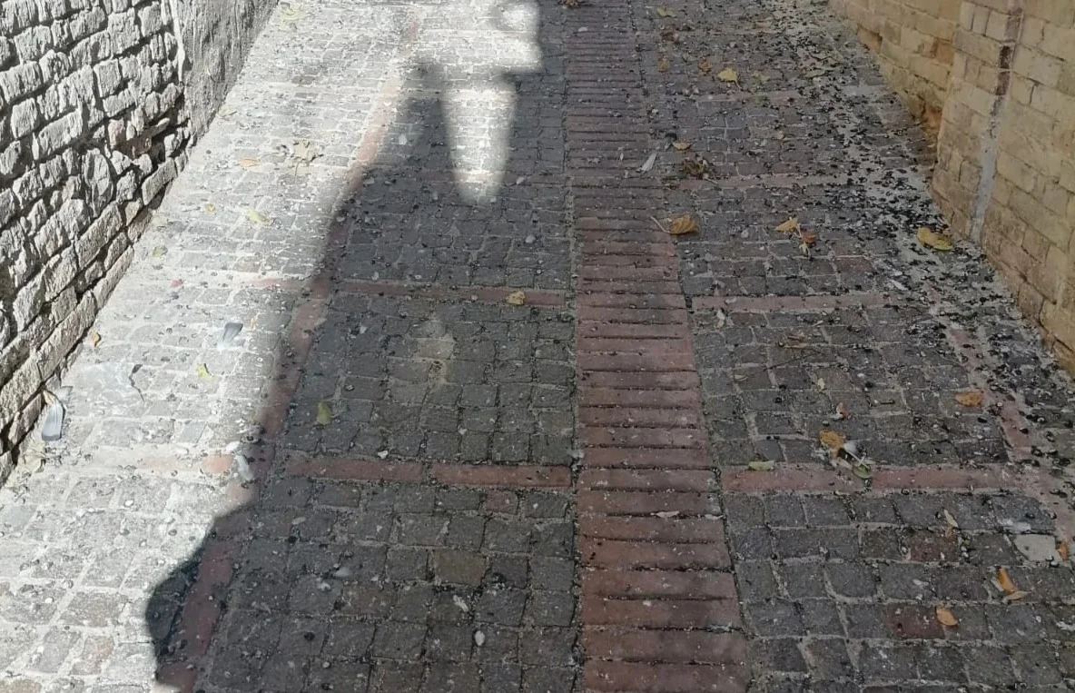 Vico Cancelli di Atri invasa dagli escrementi dei piccioni, Italiani (M5S): "Intervenga subito il Comune"