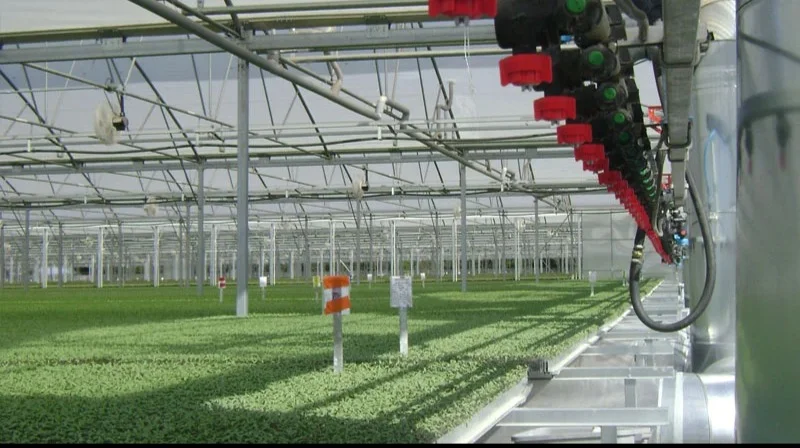 Teramo-Mare, a rischio 350 posti di lavoro in agricoltura biologica