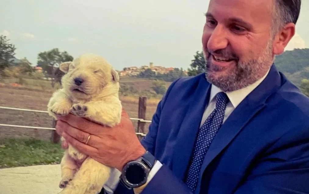 Cane da Pastore Abruzzese Maremmano, riconosciuta ufficialmente la denominazione