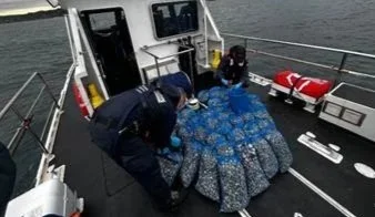VIDEO | Sequestri e sanzioni amministrative anche nel porto di Giulianova nell'operazione nazionale "Fish Net"