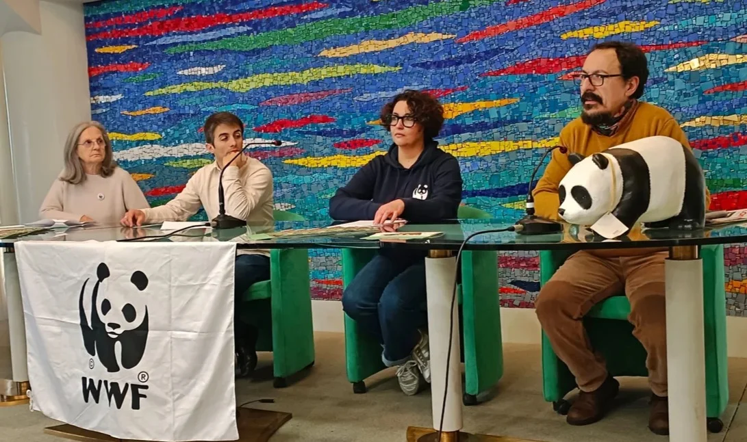 WWF Abruzzo, lettera aperta a Marsilio:"Azioni concrete e non buoni propositi per il 2026"