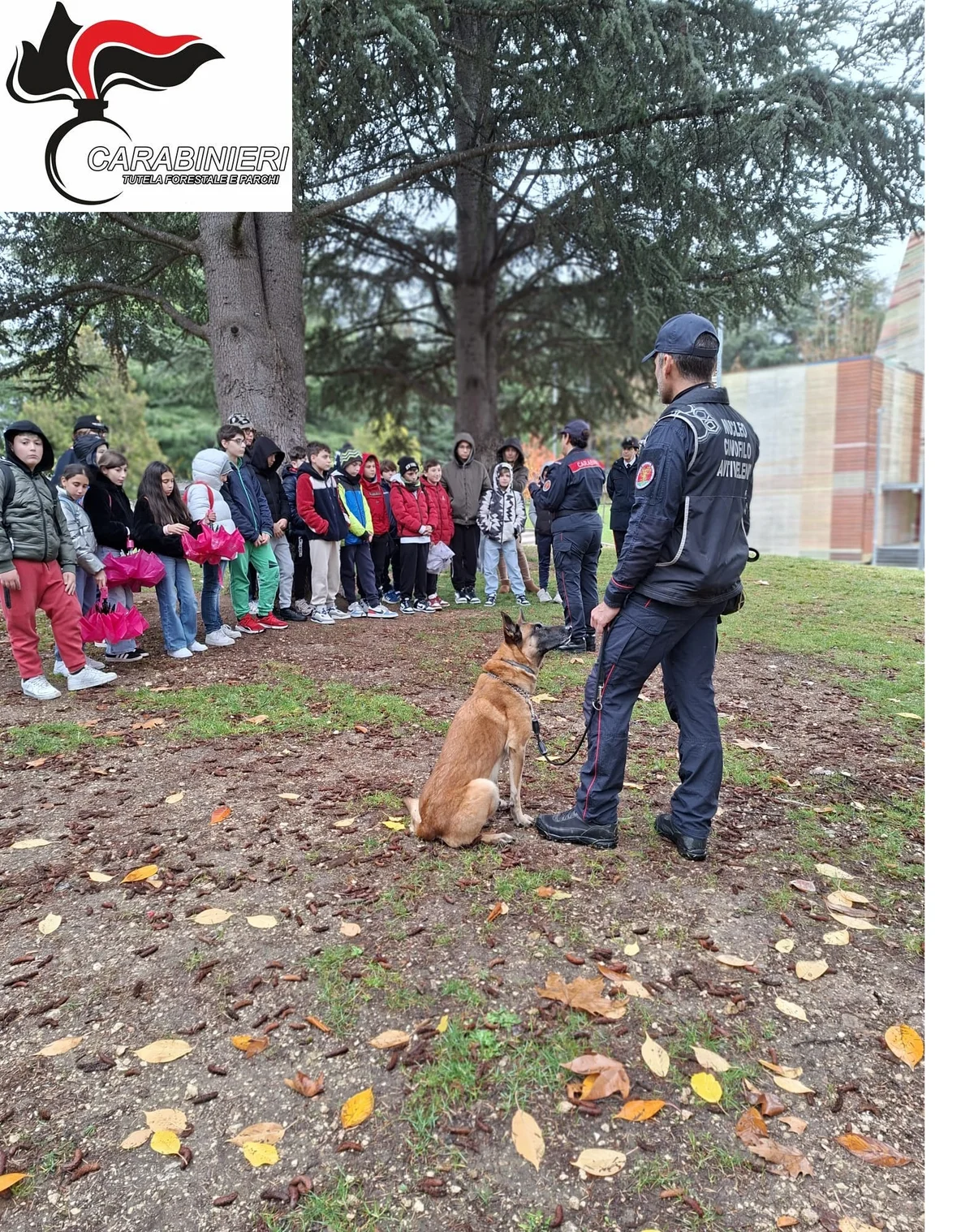 I Carabinieri Forestali celebrano in Abruzzo la giornata nazionale dell'albero