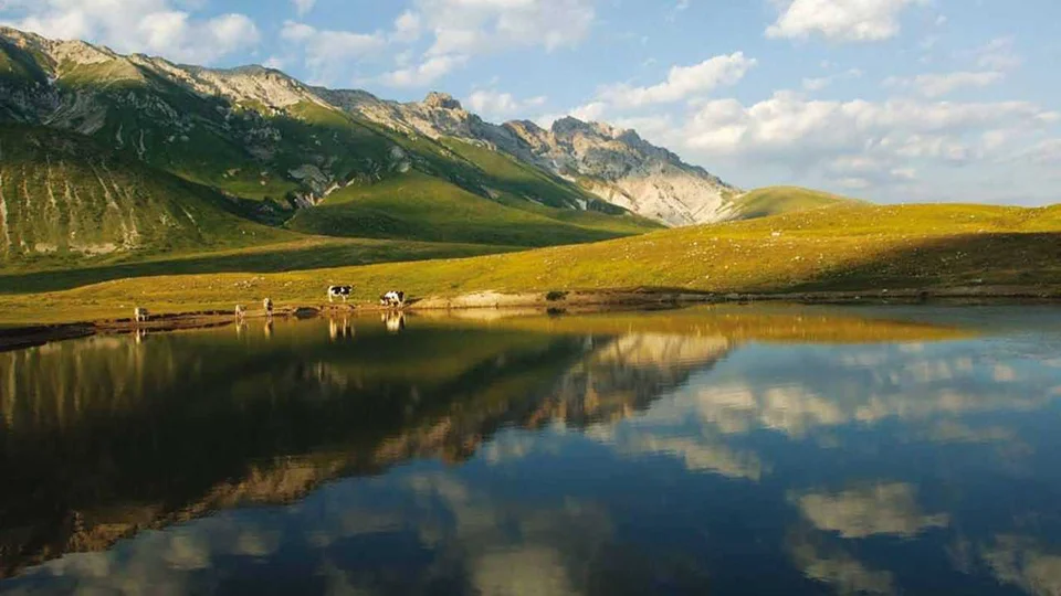 Tutela dell'ambiente, WWF invita a partecipare alla consultazione europea. Una firma entro mercoledì
