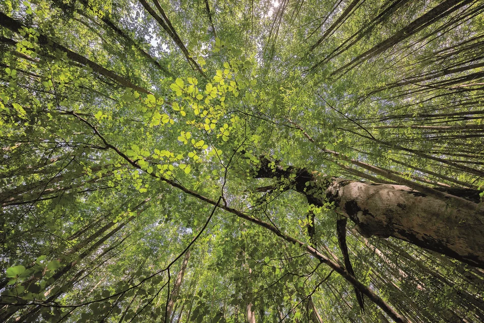 Giornata della Terra, manifestazione al Parco Fluviale