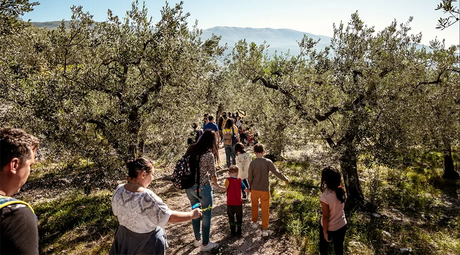 Un ulivo contro tutte le guerre: le 8 Città dell'Olio abruzzesi per la pace nel mondo