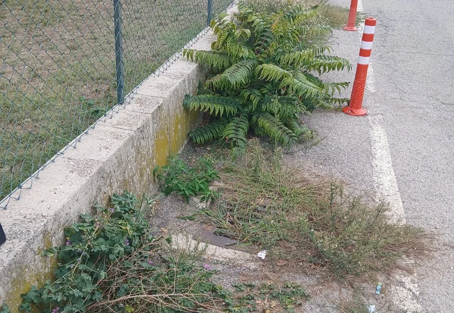 Manutenzioni a Teramo, percorso pedonale della scuola "Serroni" abbandonato