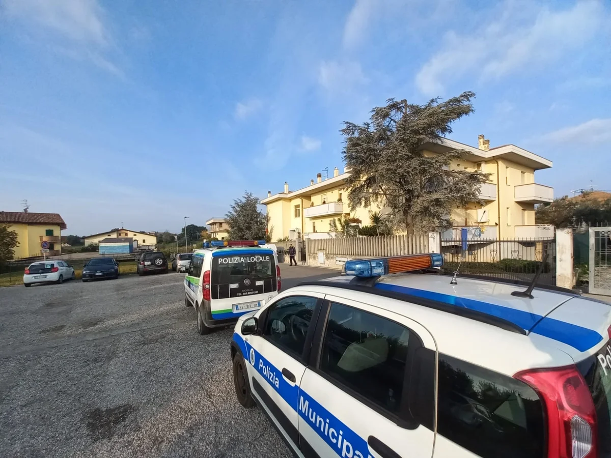 Accalappiato un pitbull che da giorni girava libero a Mosciano Sant'Angelo