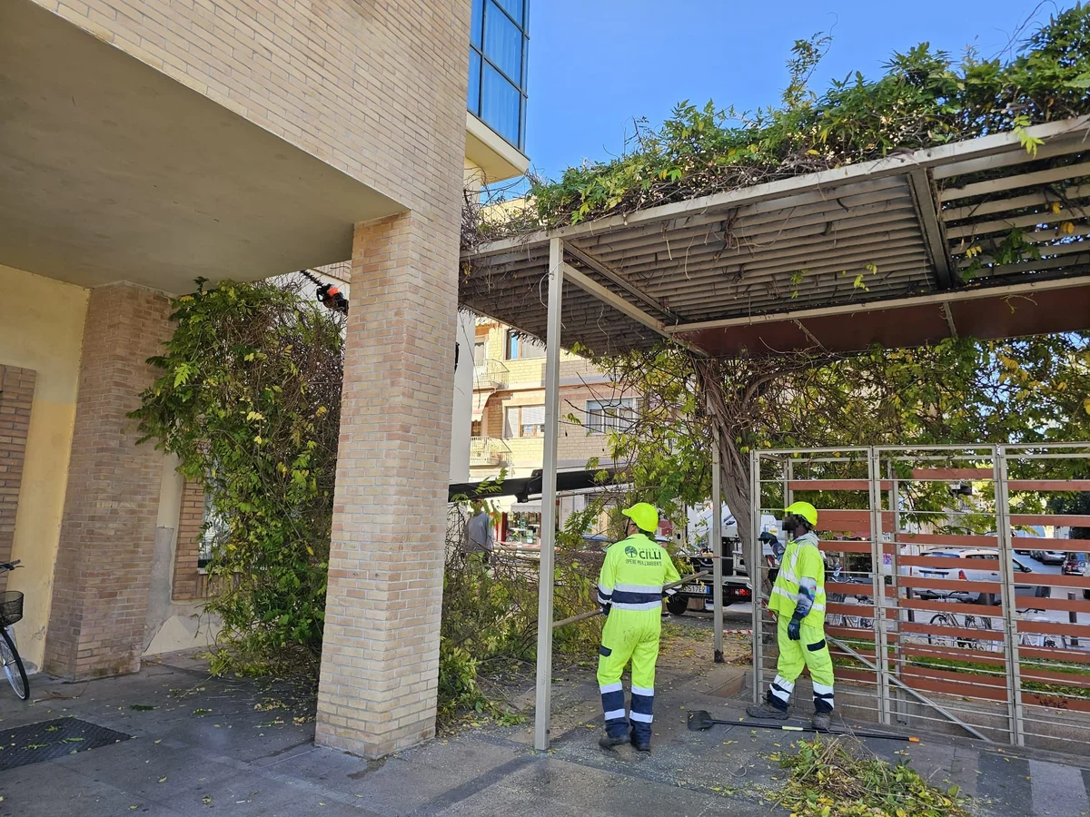 Proseguono i lavori di potatura sul territorio di Roseto