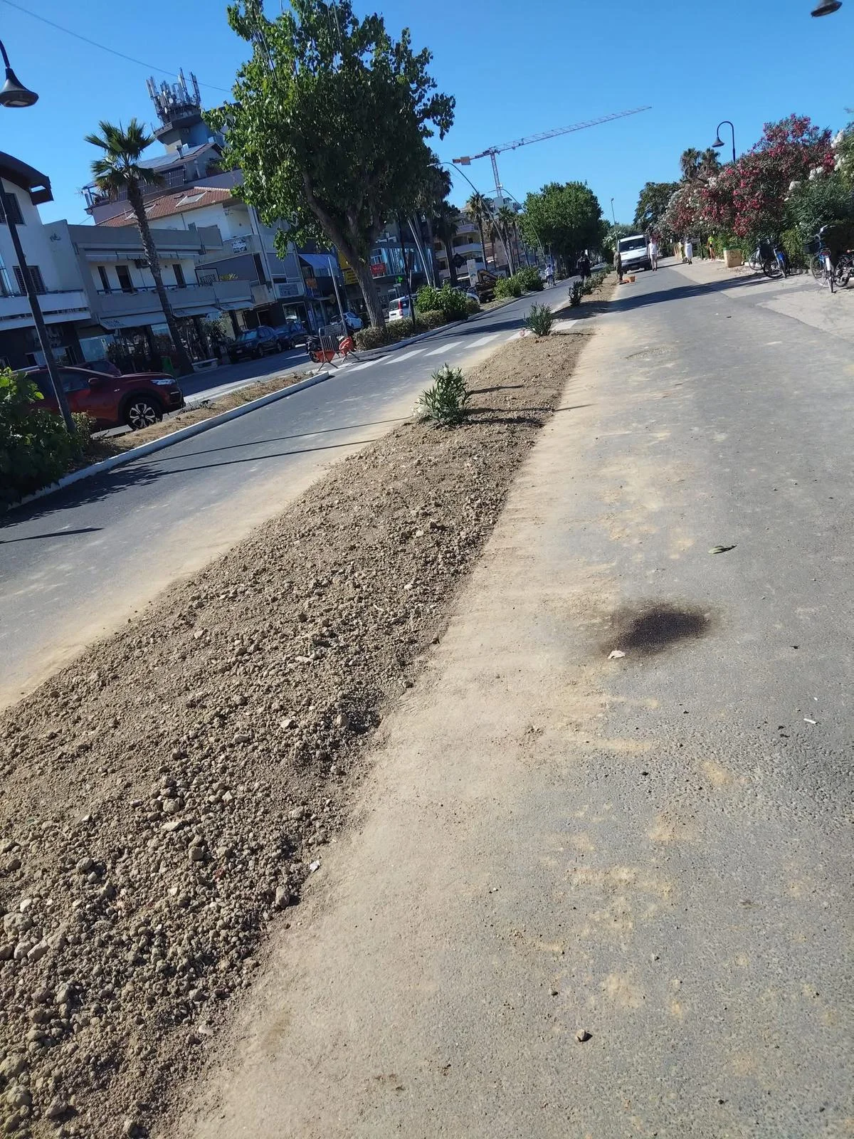 Lavori lungomare Alba Adriatica, le perplessità del Comitato: "Tutelare il filare di pioppi"