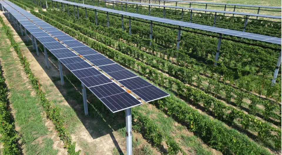 Comitato Ambiente e Territorio su DDL regionale aree idone energie rinnovabili