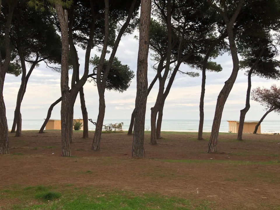 Marketing territoriale, a Pineto nasce uno spazio dedicato alla contemplazione