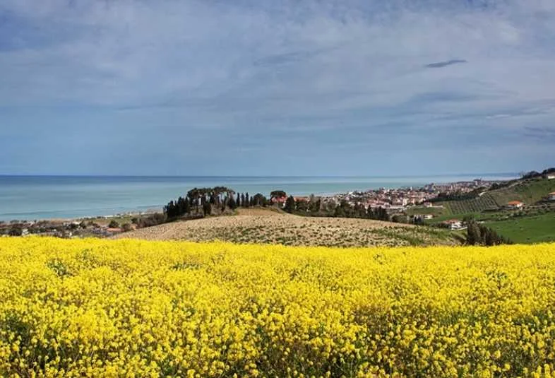 Borsacchio, inviata una diffida contro la realizzazione dell'agricampeggio nell'area protetta