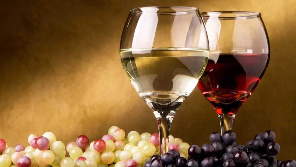 Città del Vino, via alla festa regionale con 16 comuni e 33 cantine