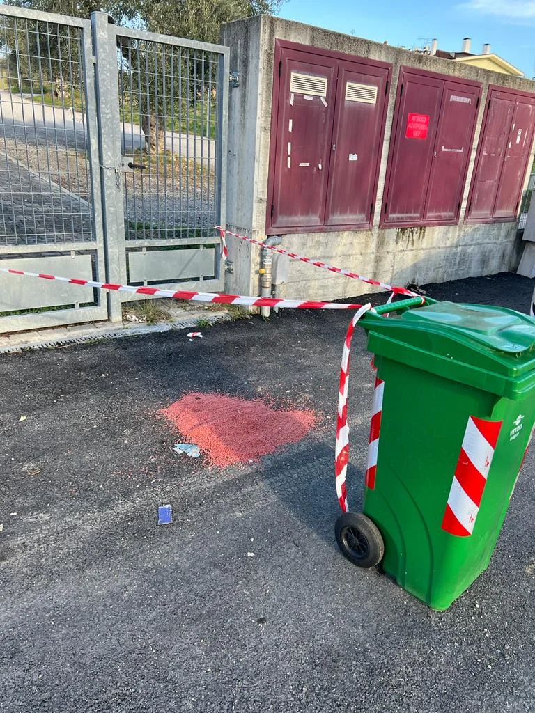 Carabinieri Forestali: sopralluogo delle unità cinofile a San Nicolò per il grano avvelenato