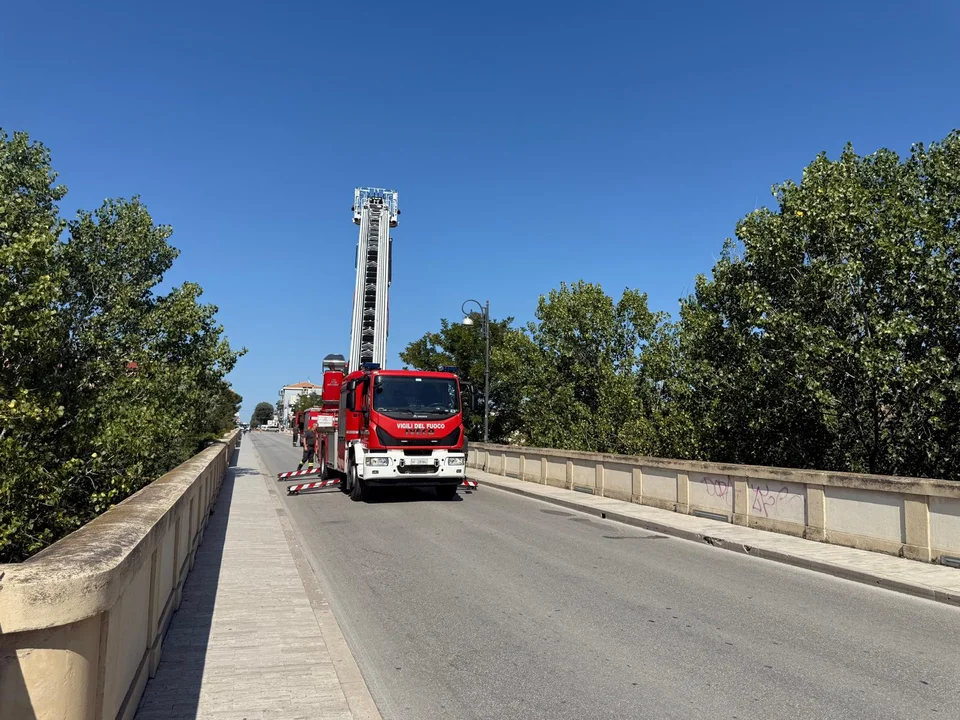 Gatto di nuovo sull'albero, chiuso per oltre mezz'ora il ponte San Ferdinando