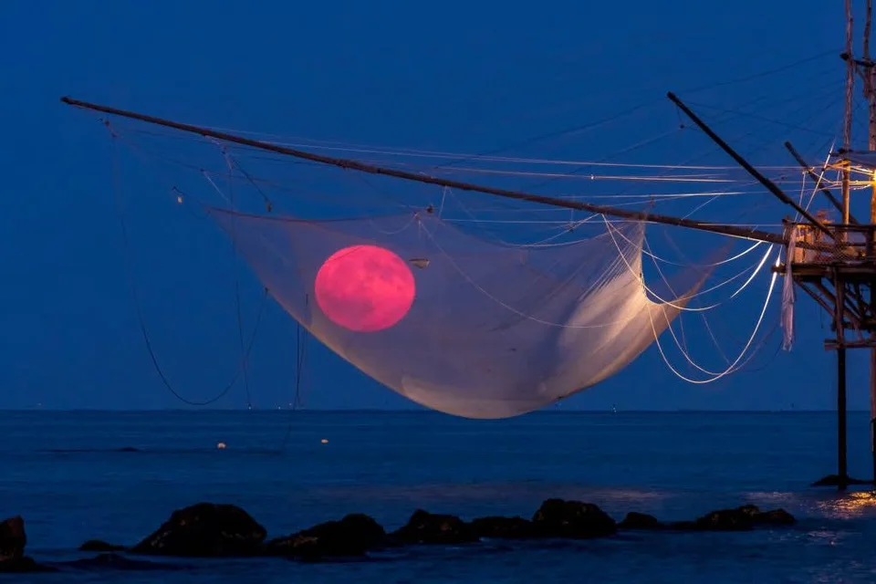 La Luna "intrappolata" nella rete: la foto di Marco Belelli scelta dalla Nasa