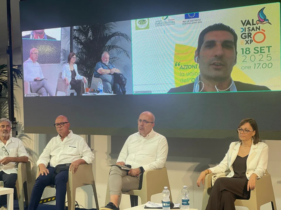 Olio evo: un patrimonio culturale che parla di comunità, di territorio e di saperi antichi