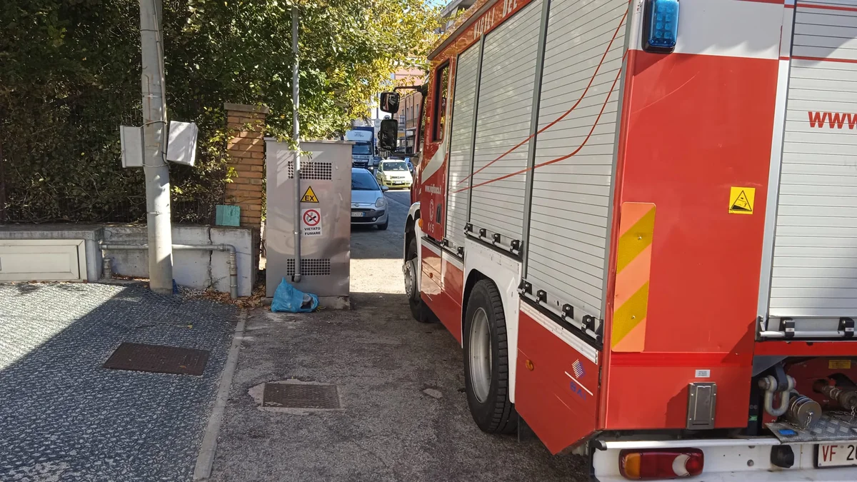 Gattino nel vano motore di un'auto salvato per miracolo