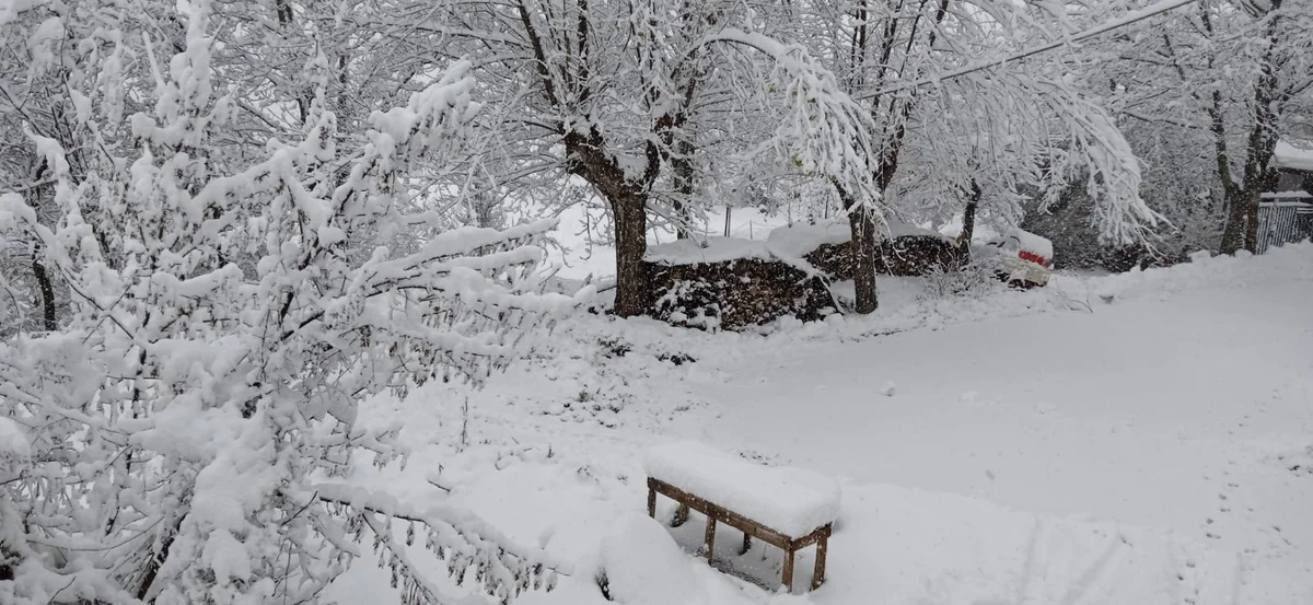 Provate a viverci senza energia elettrica...