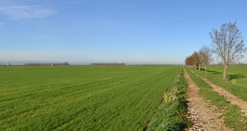 Consorzio di Bonifica Centro, approvati i ricalcoli dei contributi irrigui