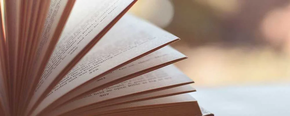 L’ironia e la cultura salveranno il mondo