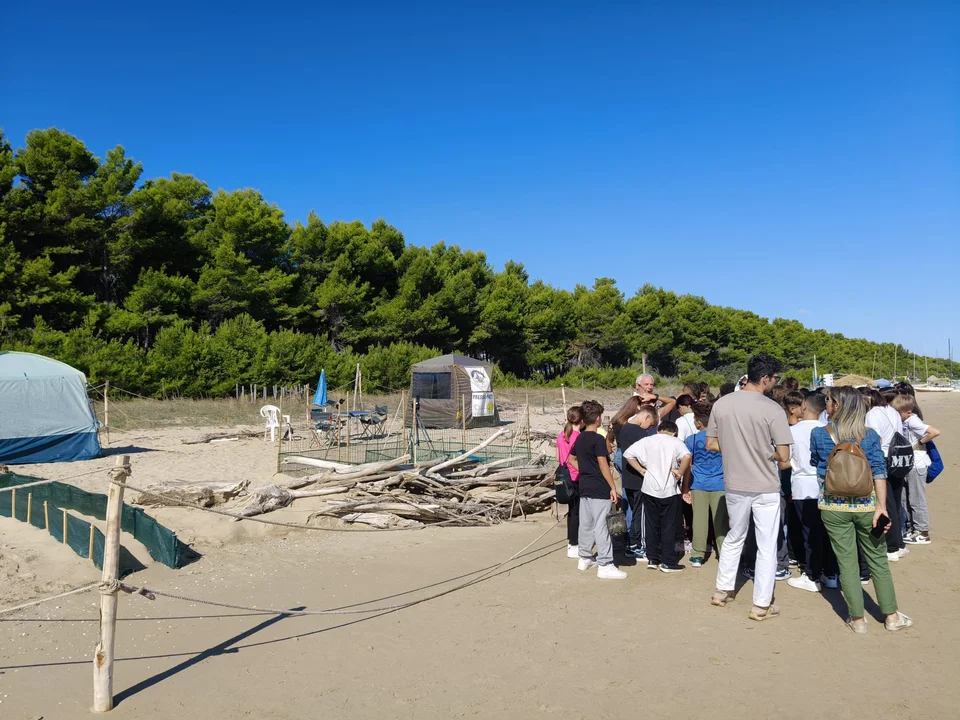 AMP Cerrano, escursione didattica al nido della tartaruga Caretta caretta