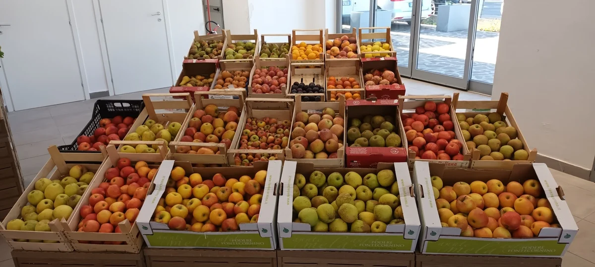 La filiera corta dei prodotti locali fa bene alla salute, al territorio e alla comunità