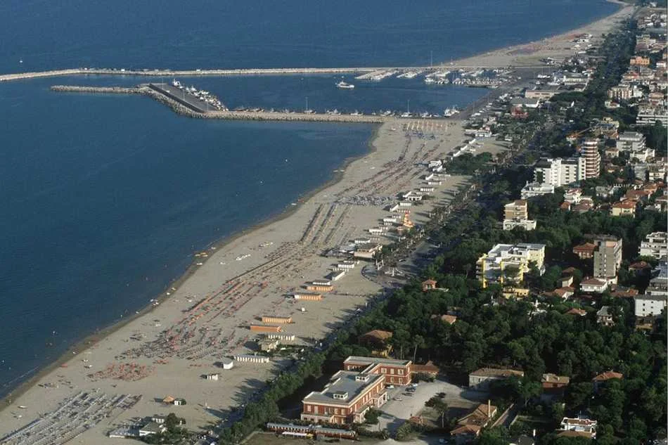 Co.N.Al.Pa. Giulianova, diffida al Comune per la cocciniglia e la sofferenza dei pini in città