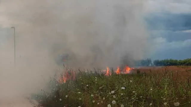 Incendio Borsacchio: le Guide chiedono l’iscrizione delle aree colpite nell’anagrafe dei territori percorsi dal fuoco