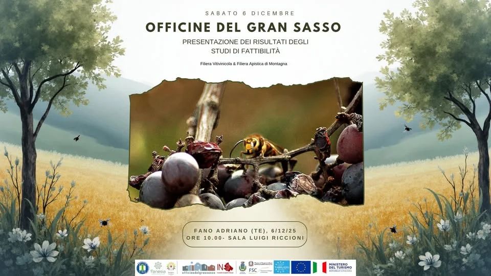 Aree interne, studi di fattibilità su vino d’altura e apicoltura di montagna