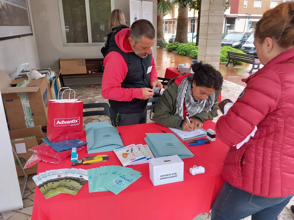 FOTO | Microchippatura per cani gratuita, un successo per la prima giornata di Pineto