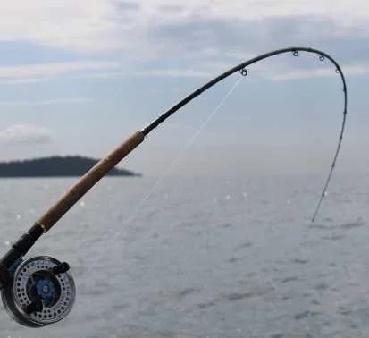 Pesca sportiva, approvato il Calendario ittico 2026