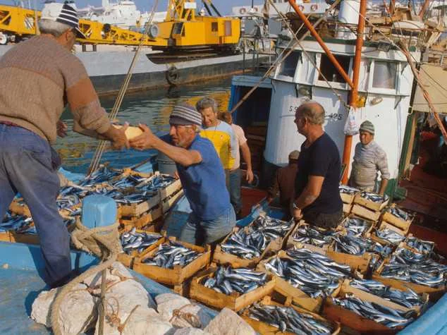 Fermo biologico da sabato: sta per bloccarsi la pesca nell'Adriatico
