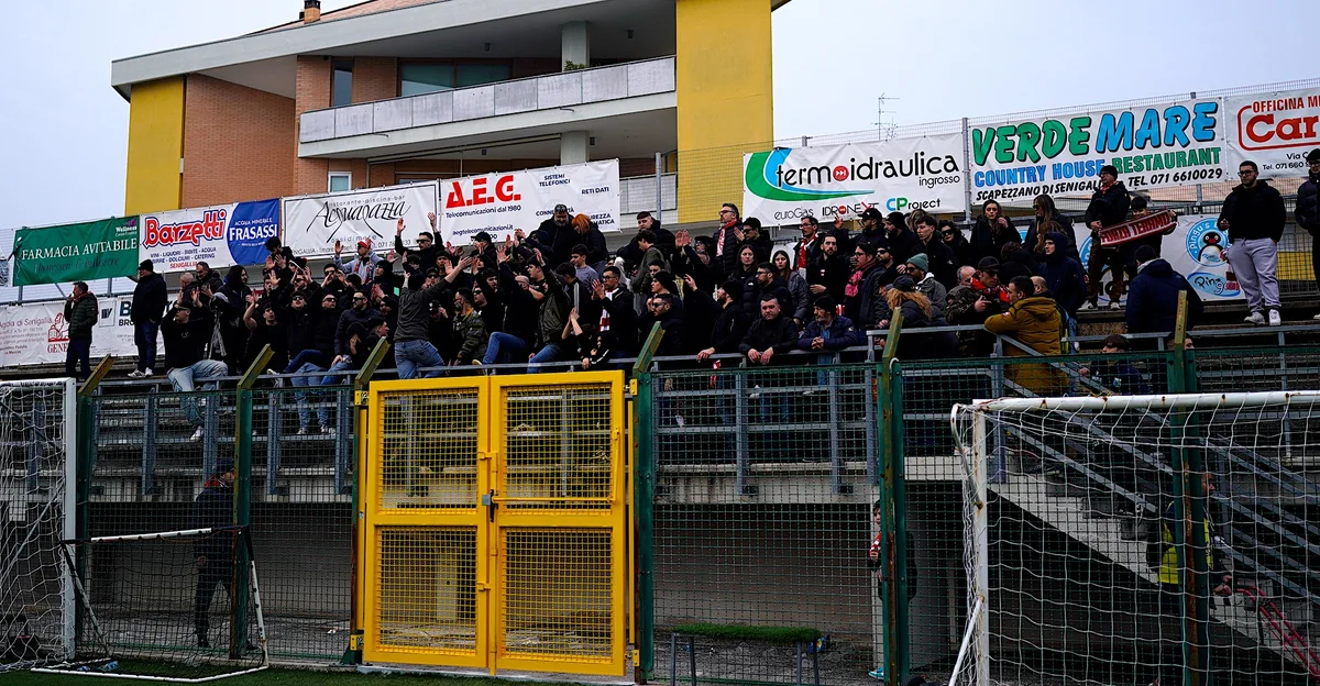 Calcio D, Tifosi! A Senigallia si potrà in 500