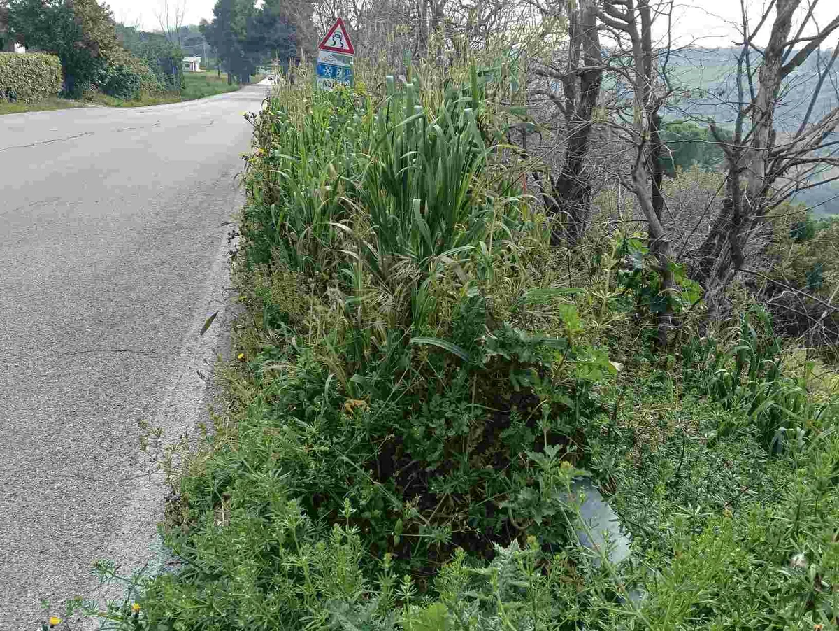 Strade provinciali tra Atri e Silvi, sollecitati interventi urgenti dai consiglieri Adriani  e Cianella