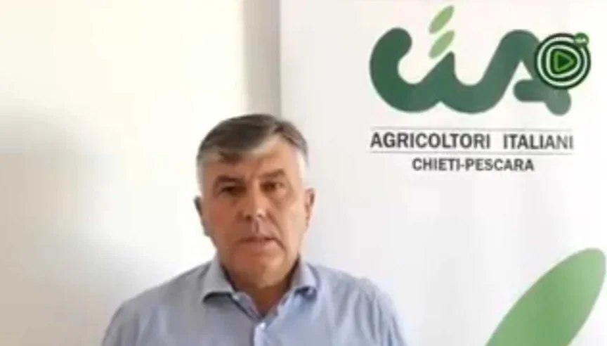 Blue Tongue, arriva il bando di sostegno agli allevatori