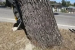 Colleranesco, circolazione rallentata sulla SS 80 sabato 17 e 24