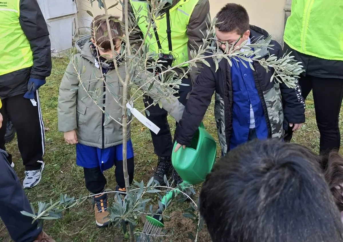 FOTO | La scuola Primaria di Castelnuovo mette a dimora piante d'ulivo e bulbi di tulipani