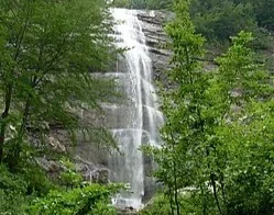 VIDEO | Il Ceppo, non grandi numeri ma sono tanti i frequentatori