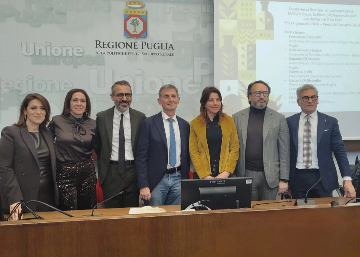 Olio, in Abruzzo 289 frantoi e 38.597 ettari per la produzione di olive