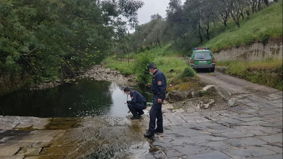 Carabinieri Forestali, il bilancio dell'anno 2025