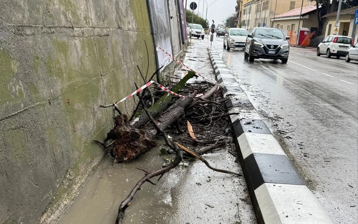FOTO | Teramo, rami caduti in via Po: nessun problema per la viabilità