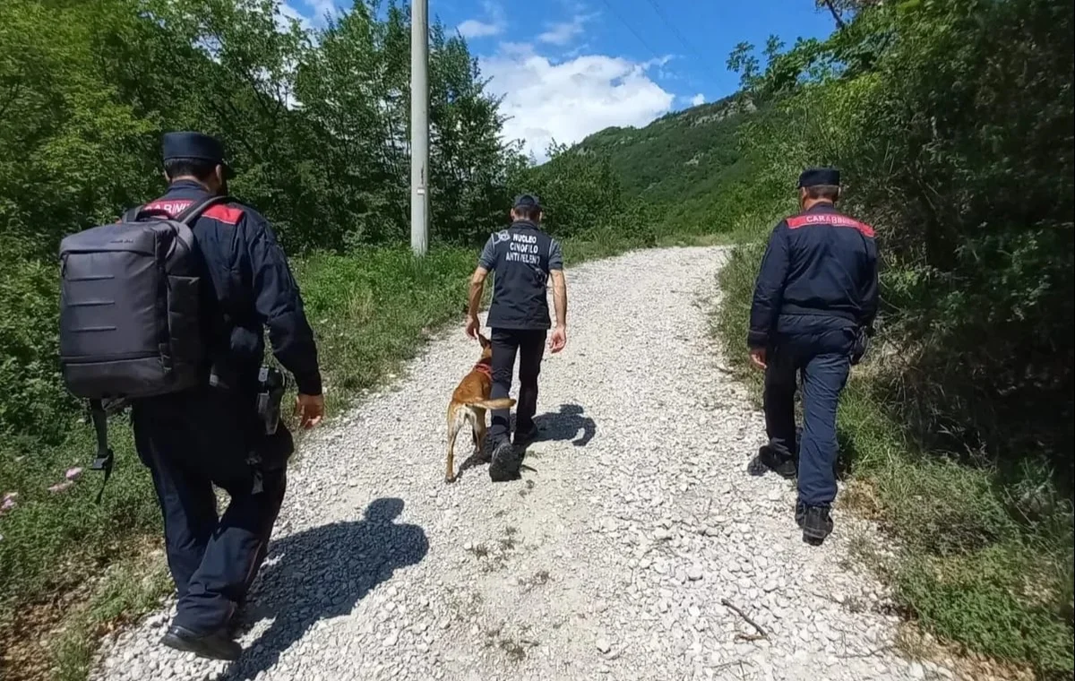 Avvelenamenti di animali: battuta a tappeto Torricella Sicura senza esiti ma...