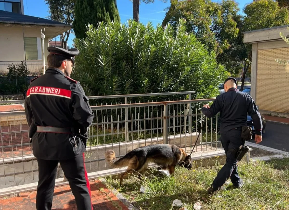 Pineto, trovato un chilo di cocaina pura in spiaggia