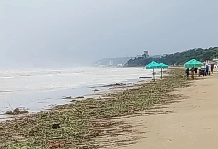 Rifiuti spiaggiati sulla costa, Pepe e Cavallari: sostegni ai Comuni