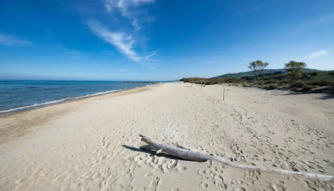 Borsacchio, approvato un progetto a tutela dell'area