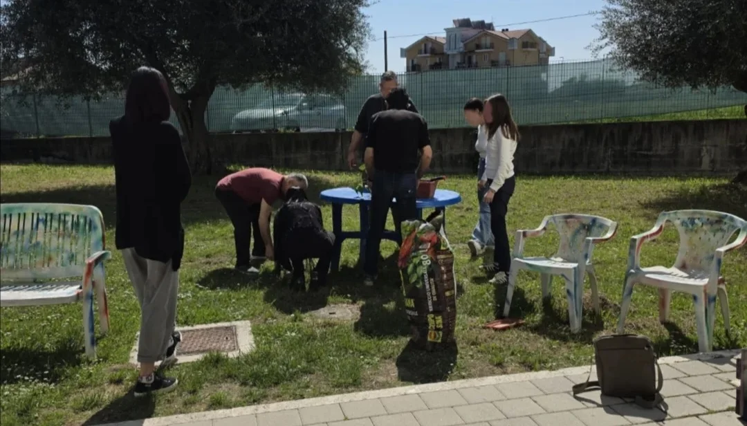 Salute mentale, la riabilitazione attraverso l'ortoterapia