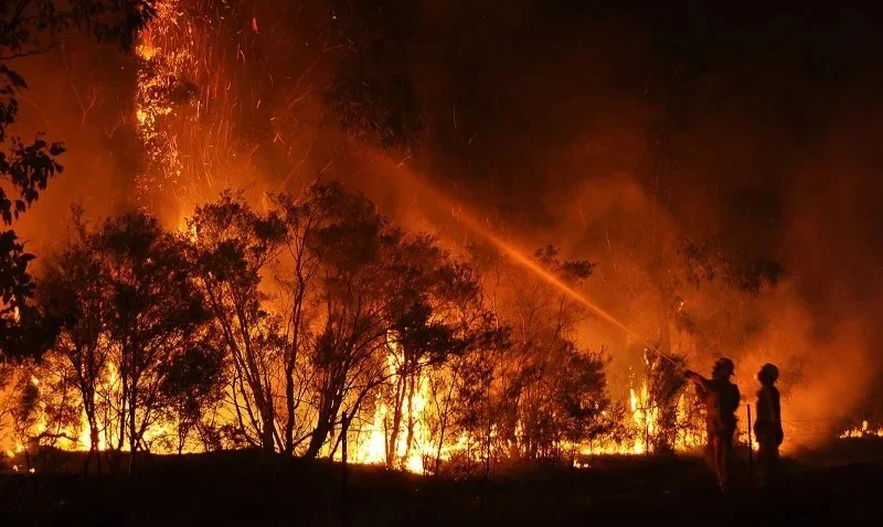 Incendi, Pepe: "Servono prevenzione, nuovi strumenti e risorse”
